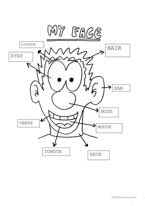 My Face Worksheet