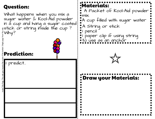 Of Year Science Kool