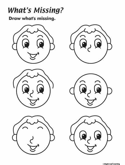 Parts Of The Face