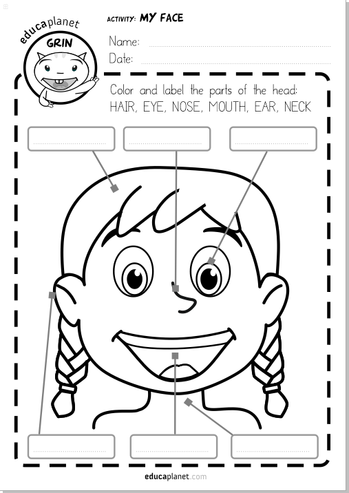 Parts Of The Face Worksheet Printable Free  Espanol  English