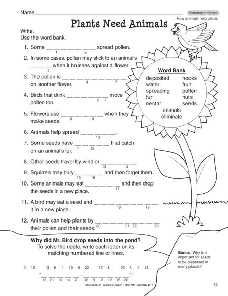 Plant Worksheets For Third Grade Worksheets For All
