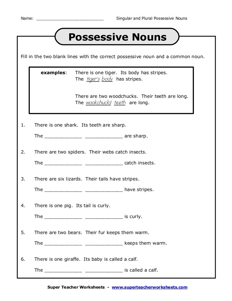 Plural And Possessive Nouns Worksheet