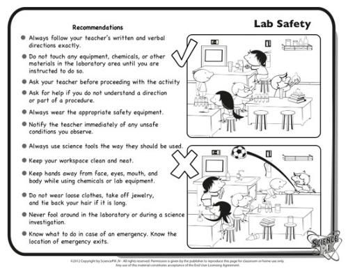 Safety In The Lab Worksheet Worksheets For All