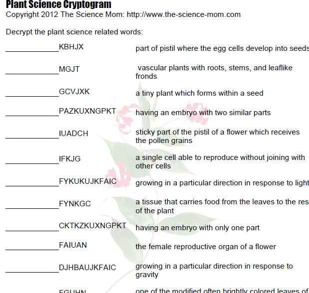 Science Worksheets Help Reinforce Science Concepts  Using A Puzzle