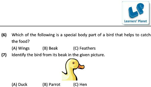 Science Worksheets On Birds For Grade 3 Kids Online Ncert Study
