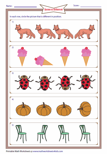 Similarities And Differences Worksheets For Kindergarten Same And