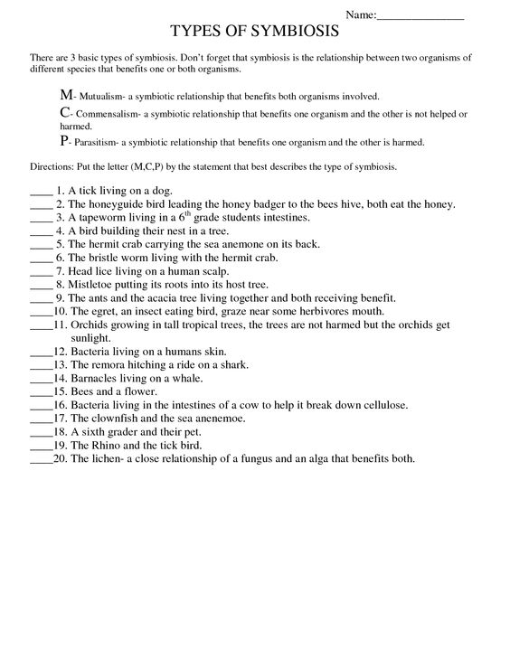 Types Of Symbiosis Worksheets