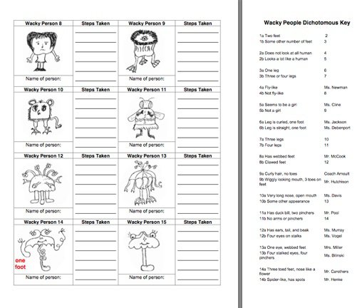 Taxonomy Classification And Dichotomous Keys Worksheet 30 Best Taxonomy Classification And Dichotomous Keys Worksheet 30 Best