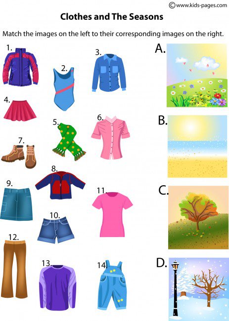 The Seasons And Clothes Worksheet