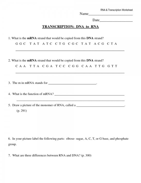 Worksheet Template   Worksheet   Dna Rna Worksheet Dna Structure