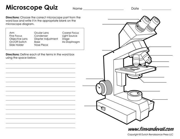 22 Best Microscopes Images On Free Worksheets Samples