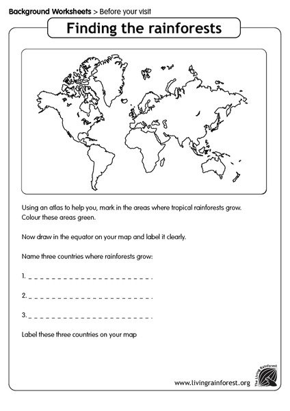 5th Grade Rainforest Worksheets Worksheets For All