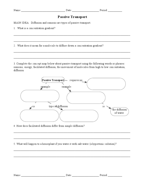 Active Transport Worksheet Worksheets For All