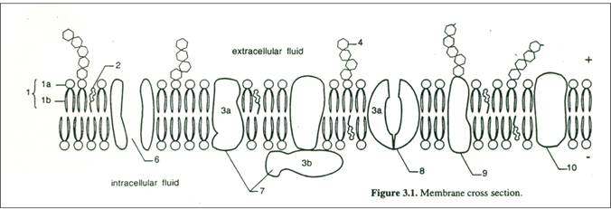 Best Name Free 6256 Printable Coloringace Com