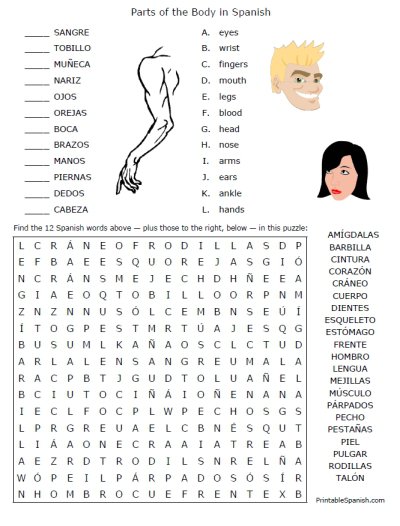 Body Parts In Spanish Worksheet Worksheets For All