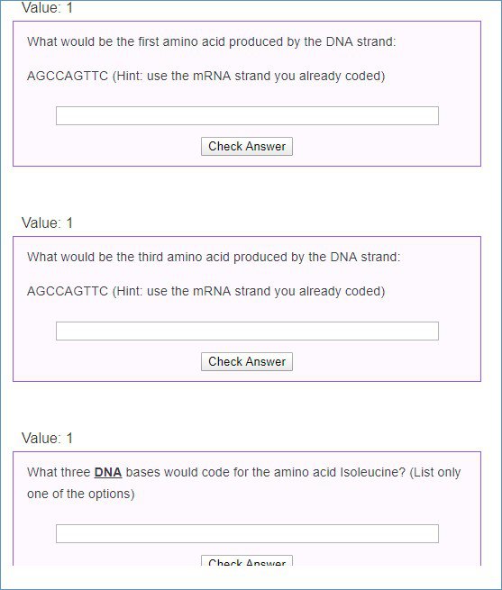 Chapter 6 Dihybrid Cross Worksheet Key
