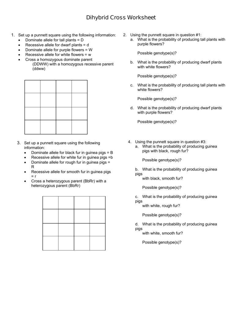 Collection Of Dihybrid Cross Worksheet Answer Key Pdf | Free Worksheets ...