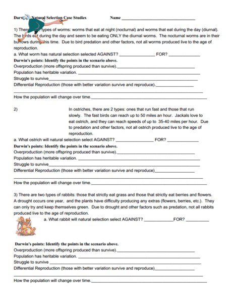 Darwins Natural Selection Worksheet Natural Selection Worksheet