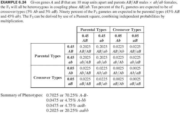 Dihybrid Cross Practice Worksheet | Free Worksheets Samples