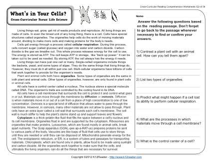 Free Printable 7th Grade Reading Comprehension Worksheets