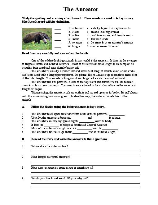 Free Printable Reading Comprehension Worksheets For Middle School