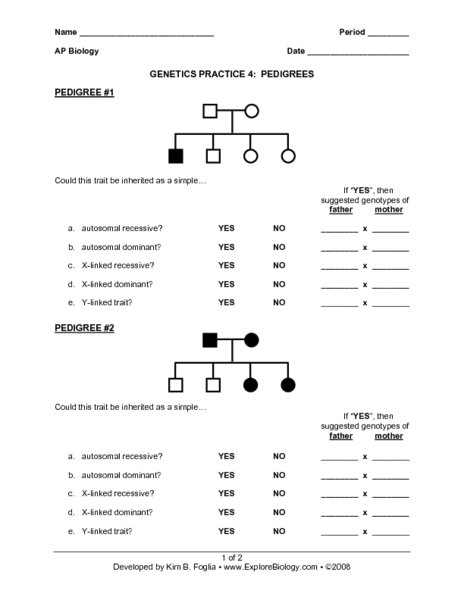 Genetics Pedigree Worksheet Genetics Pedigree Worksheet Payasu