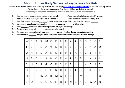 Human Body Senses Comprehension Worksheet Picture