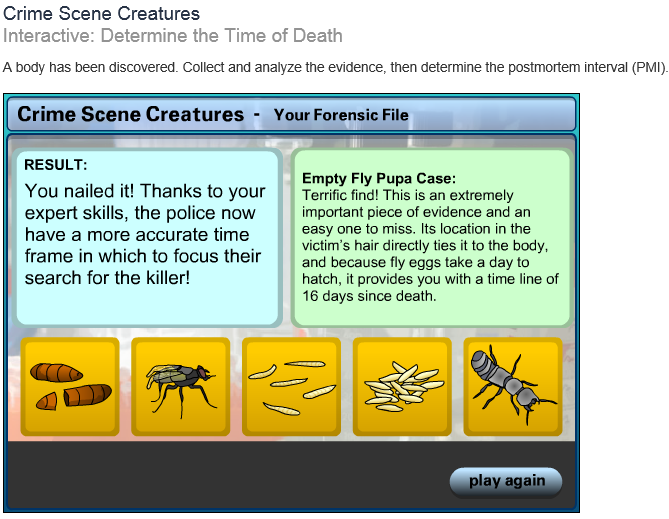 Ide 145  Introduction To Forensic Science