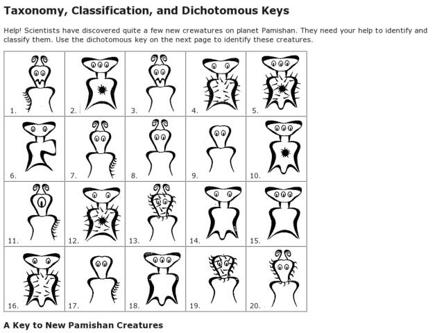 Ideas Of Dichotomous Key Worksheets With Letter Template