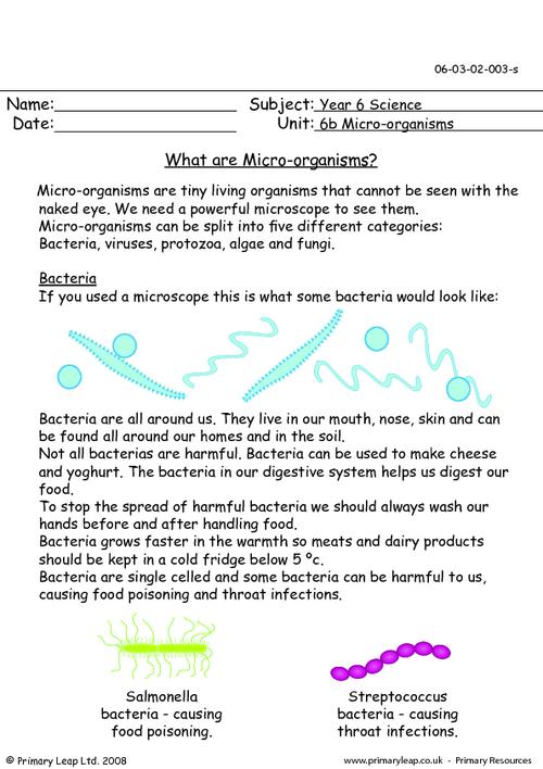 Microorganisms Worksheets Worksheets For All