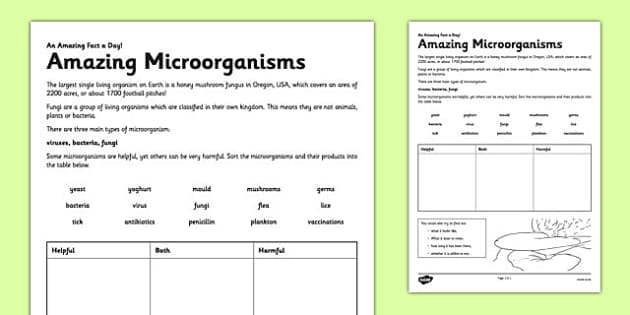 Microorganisms Worksheets Worksheets For All
