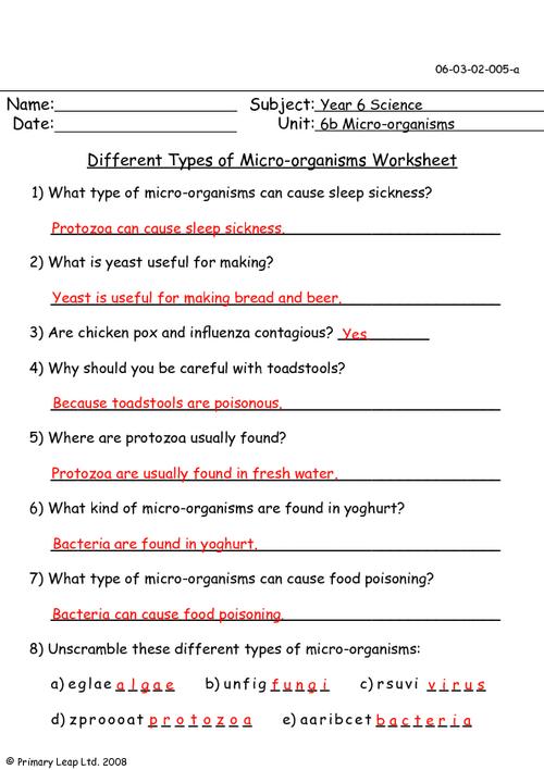 Microorganisms Worksheets Worksheets For All