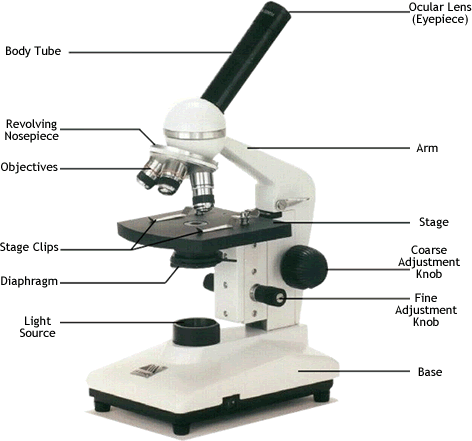 Microscope Labeling Key