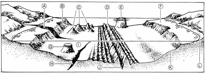 Ocean Floor Diagram Worksheet Free Worksheets Library | Free Worksheets ...