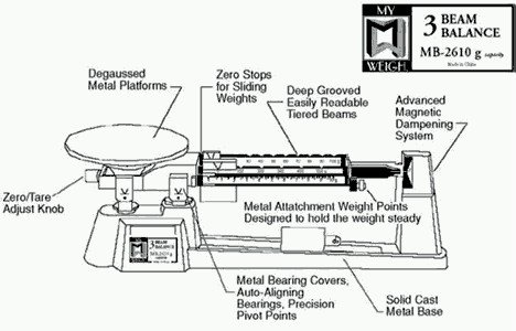 Printables  Triple Beam Balance Worksheet  Beyoncenetworth