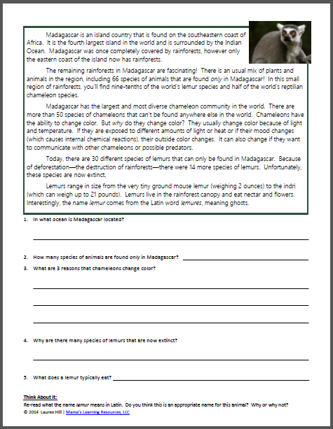 Rainforest Worksheets