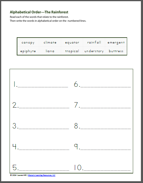 Rainforest Worksheets