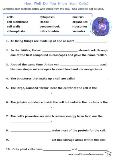 Science Worksheets Middle School Worksheets For All