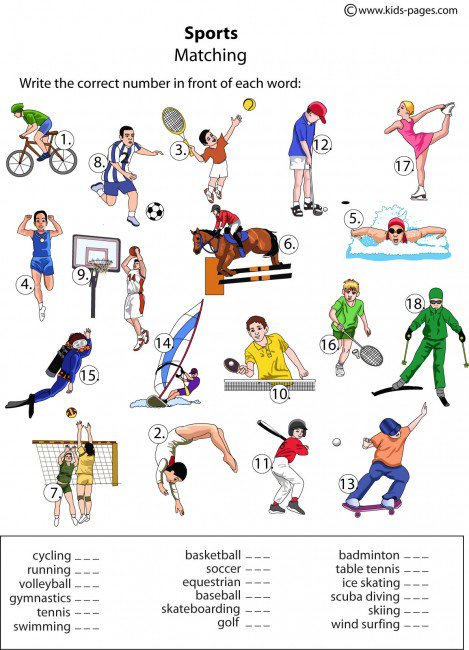 Sports Matching Worksheet