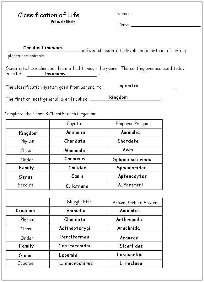 Taxonomy Worksheet Answers For Adverbs Blooms Taxonomy Inspiring
