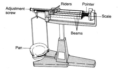 Triple Beam Balance