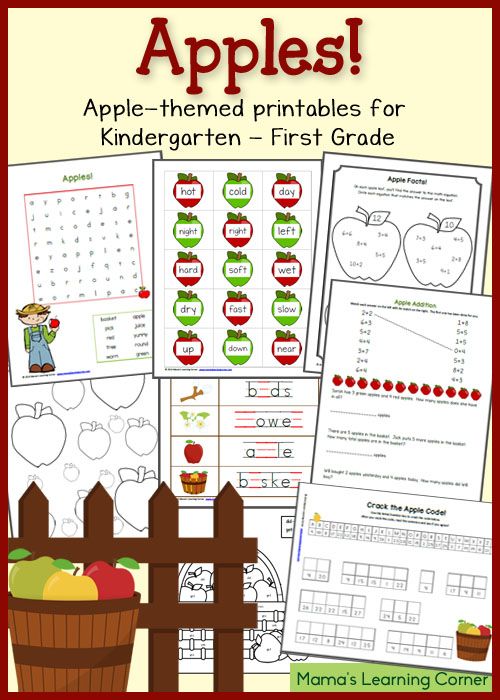 55 Best Homeschool Unit Study  Apples Images On Free Worksheets Samples