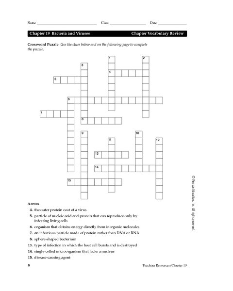 Bacteria And Viruses Worksheet  Worksheets  Kristawiltbank Free