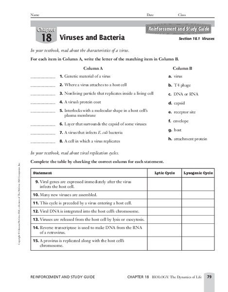 Biology Viruses Worksheet