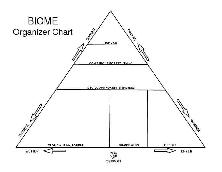 Biome Organizer Chart Worksheet