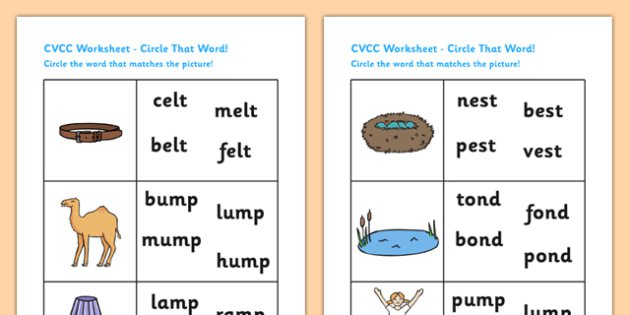 Cvcc Phase Four Circle That Word Worksheet