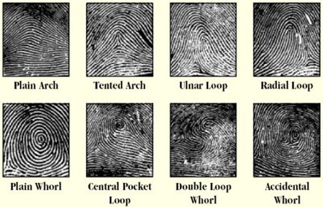 Fingerprint Identification