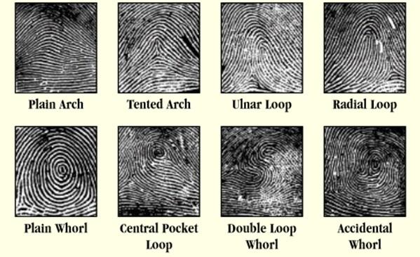 Fingerprint Lab