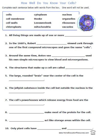 Free Printable Biology Worksheets Worksheets For All