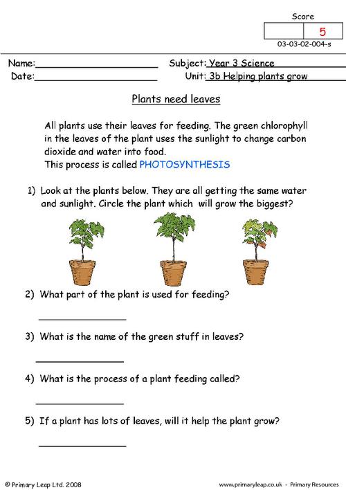 Free Unit 3b Helping Plants Grow Well Printable Resource